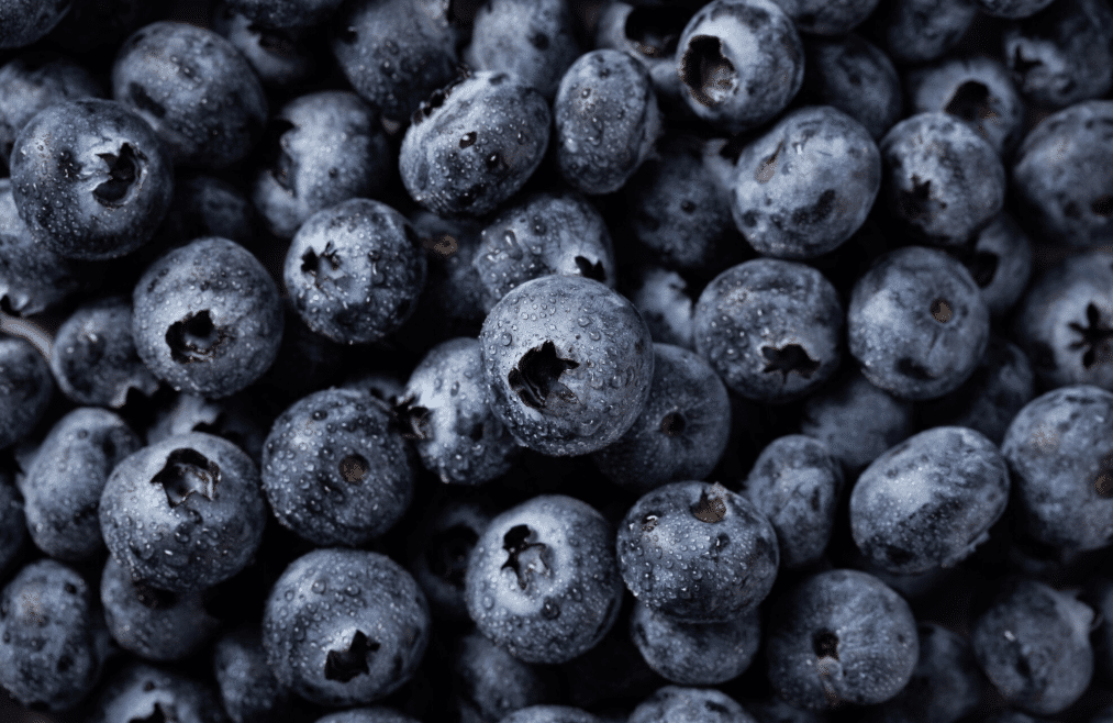 Borówki – jagody pełne mocy dla mózgu i wzroku